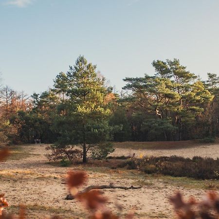 Drents Genieten - Lavendelheide Erm Buitenkant foto