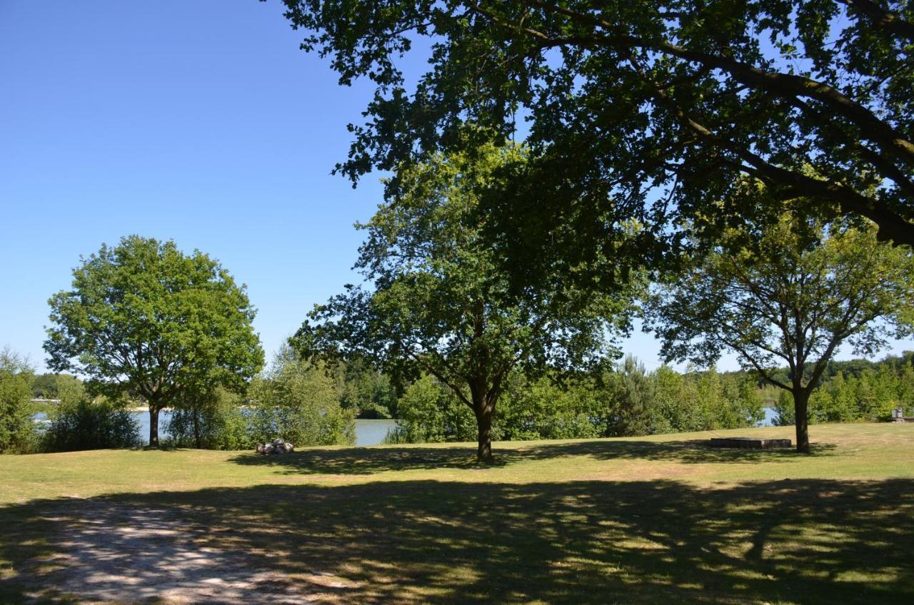 Drents Genieten - Lavendelheide Erm Buitenkant foto