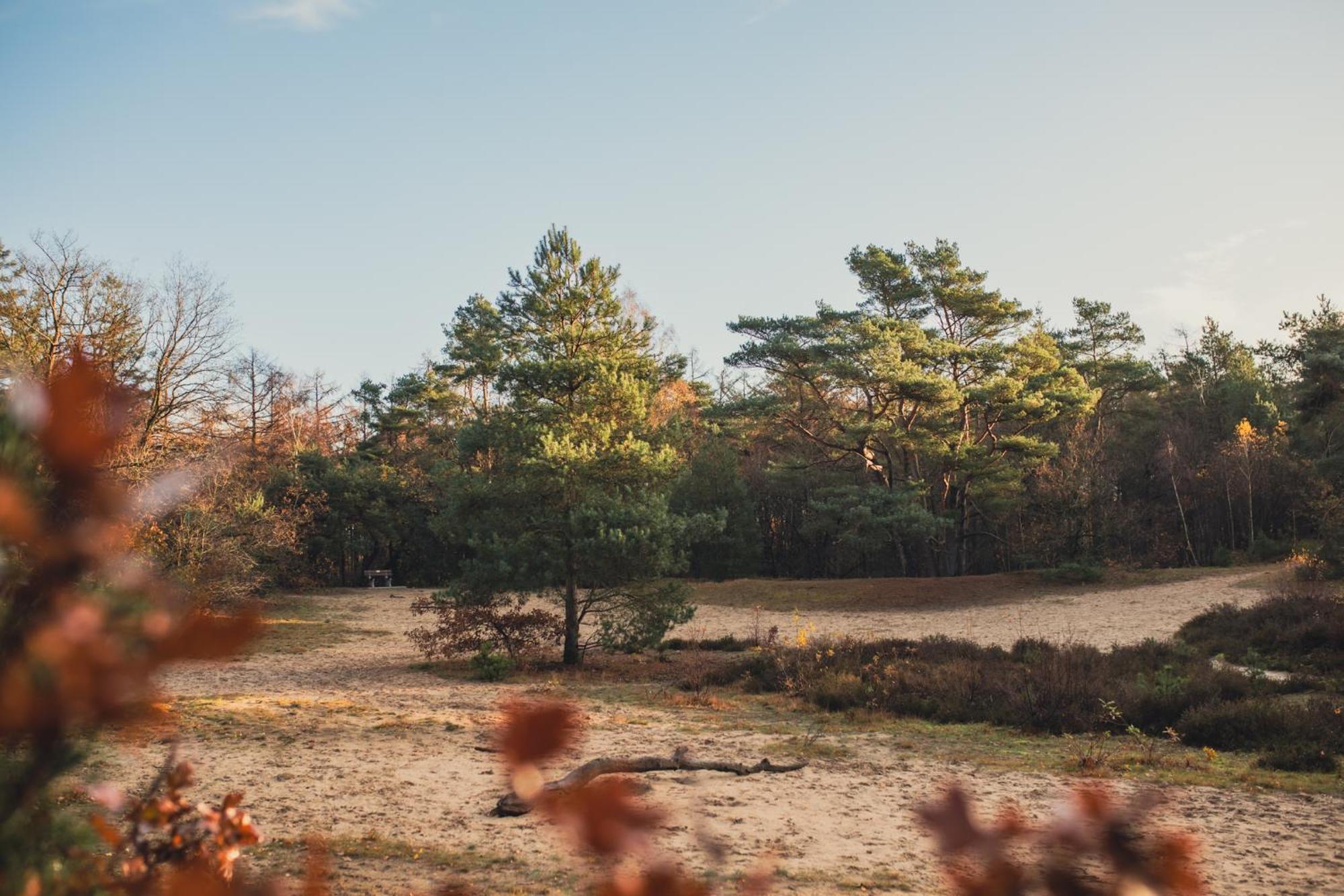 Drents Genieten - Lavendelheide Erm Buitenkant foto